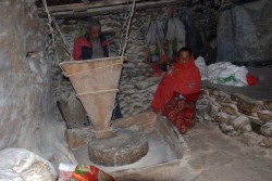 पानी घट्टमा मकै पिस्दै