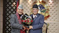 प्रदेशभित्र पकेट क्षेत्र घोषणा गरेर काम गर्छौं : मुख्यमन्त्री जम्मकट्टेल