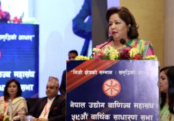 निजी क्षेत्रको सहभागिता र सक्रियताबाट मात्र आर्थिक विकास सम्भव