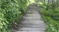 म्याग्दीको बिममा पक्की पदमार्ग निर्माण