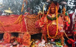 गत वर्ष पाथीभरा मन्दिरमा तीन करोड १९ लाख भेटी सङ्कलन