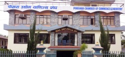 पोखरा उद्योग वाणिज्य सङ्घको अध्यक्षमा प्रजापति