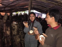 च्याउ खेती गरेर जीवनस्तर उकास्दै सिन्धुपाल्चोकका किसान