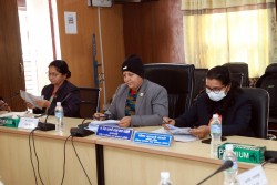 ‘महिलाको प्रतिनिधित्व बढाउन दलभित्र शुद्धीकरण आवश्यक’