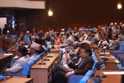 बजेट कार्यान्वयनमा सांसदहरुको जोड