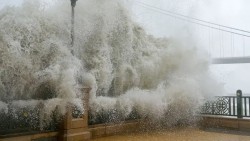 ताइवानमा शक्तिशाली आँधी ‘रागासा’ को प्रभाव : १४ जनाको ज्यान गयो