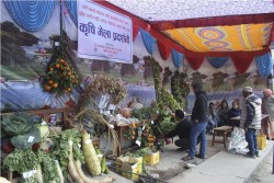 म्याग्दीमा कृषि मेला प्रदर्शनी