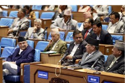 शून्य समयमा पूर्वाधार निर्माणदेखि किसानका समस्या समाधानको ध्यानाकर्षण