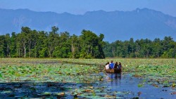वन क्षेत्रको सिमसार संरक्षणमा जोड