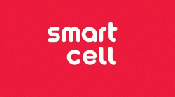 स्मार्ट टेलिकम प्रालि स्वतः खारेज