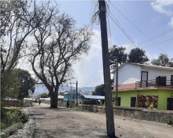 स्थानीयले पिपल फाल्न नदिएपछि...