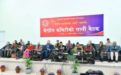 एमाले केन्द्रीय कमिटी बैठक: समूहगत छलफलको निष्कर्ष पेस गर्ने तयारी 