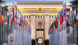 गाजा सहरबाट करिब ४८ हजार मानिस विस्थापित : संयुक्त राष्ट्रसङ्घ