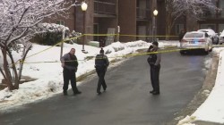 Nepali Man Shot Dead by Police After Deadly Stabbing in Fairfax County