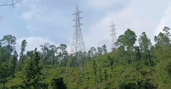 रुख कटानको अनुमतिसँगै सदरमुकाम निर्माणको बाटो खुल्यो