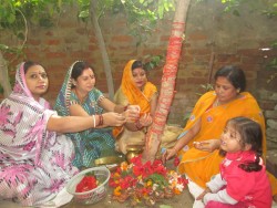 मिथिलामा अक्षय नवमी पर्व मनाइँदै