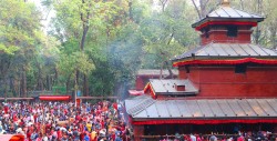  कालिका मन्दिरमा एकैदिन तीन लाख भक्तजन