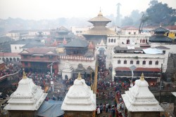 बालाचतुर्दशीमा पशुपतिसहित विभिन्न शिवालयमा शतबीज छर्न भक्तजनको घुइँचो