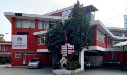 जेनजी आन्दोलनका घाइतेको यही चैत २० गते अन्तिम वर्गीकरण गरिने