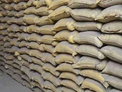 बढ्न थाल्यो सिमेन्ट निर्यात