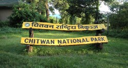 यसवर्ष चितवन राष्ट्रिय निकुञ्जमा आठ छावा थपिँदै