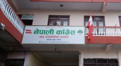 जिल्ला र प्रदेशसभा निर्वाचन क्षेत्रका लागि प्रतिनिधि खटाइयो