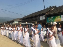 धुलाबारीमा दनुवार समुदायको संस्कृति झल्किने महोत्सव