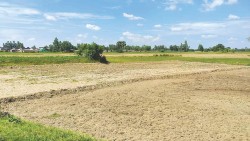 पानी अभावले रोपाइँ गर्न ढिलाइ