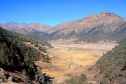 ढोरपाटन आरक्षमा बँदेलको सिकार गराइने