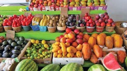 चार महिनामा ४० करोडको फलफूल आयात