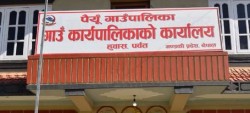 बाँदर धपाउन कर्मचारी नियुक्त गर्दै पर्वतको पैंयुँ गाउँपालिका
