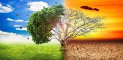 जलवायु परिवर्तनको असर: वर्षा र सुख्खा यामको दुरी बढ्दै