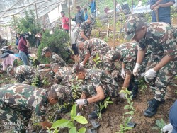 विश्व सम्पदास्थल स्वयम्भूमा वृक्षारोपण