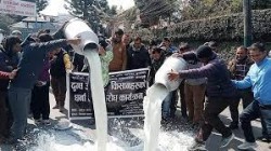 किसानका संगठनहरुले ललितपुर जिल्ला प्रशासन कार्यालय अगाडि दूध पोखेर प्रदर्शन 