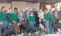 जनक माविका ११८ विद्यार्थी ‘पढ्दै कमाउँदै’