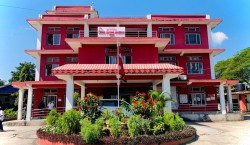  झापामा नागरिकता बनाउनेभन्दा राहदानी लिने बढी