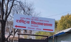 सचिव र सहसचिवलाई व्यक्तिगत विवरण अद्यावधिक गर्न किताबखानाको निर्देशन