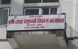 बागमती प्रदेशमा कृषिमा ७० करोडको बीउ पुँजी