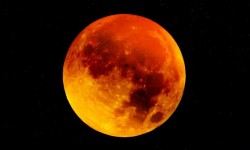 कात्तिक २२ गते मङ्गलबार ग्रस्तोदित खग्रास चन्द्रग्रहण