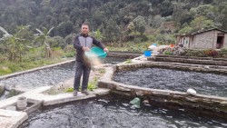  रेन्बो ट्राउट माछा बेचेर वार्षिक तीन करोड आम्दानी