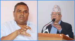 एकीकृत समाजवादी र जनता समाजवादी पार्टीबीच एकताका लागि पहल