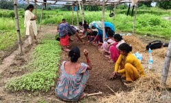 सामूहिक खेतीबाट मनग्य आम्दानी गर्दै महिला