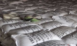 कृषि सामग्रीद्वारा १९ करोडको रासायनिक मल बिक्री