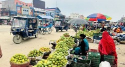 बजार व्यवस्थित नहुँदा सडकमै आँप किनबेच