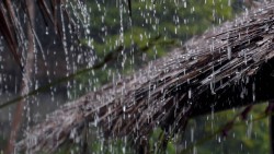 तीन प्रदेशमा भारी वर्षाको सम्भावना