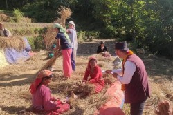 मेलापातमा भोट माग्दै उम्मेदवार