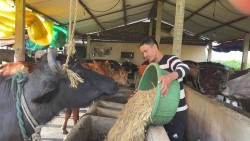  दूध बेचेरै मासिक एक लाख बढी आम्दानी