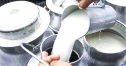 नौ करोड ५२ लाखको दूध तथा दुग्धजन्य पदार्थ बिक्री