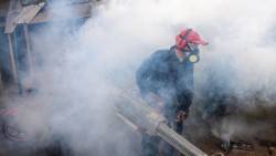 डेङ्गु रोगको नियन्त्रण कीटनाशक औषधि छर्न माग