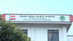  कांग्रेसको उद्योग  विभागमा दश सदस्य मनोनीत